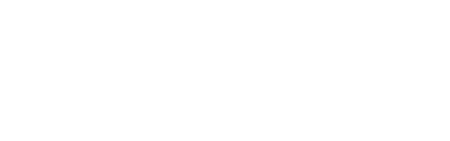 Nelson Barbudo, Deputado Federal